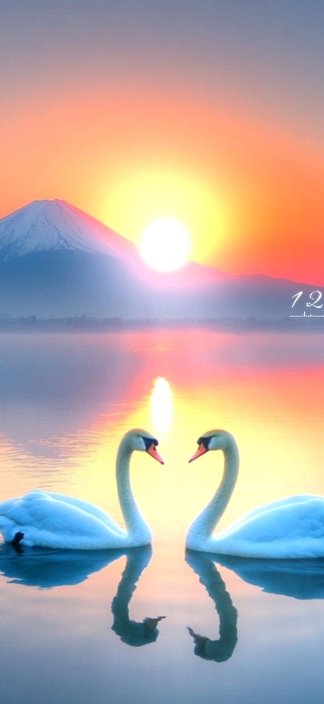 夕阳下的爱恋