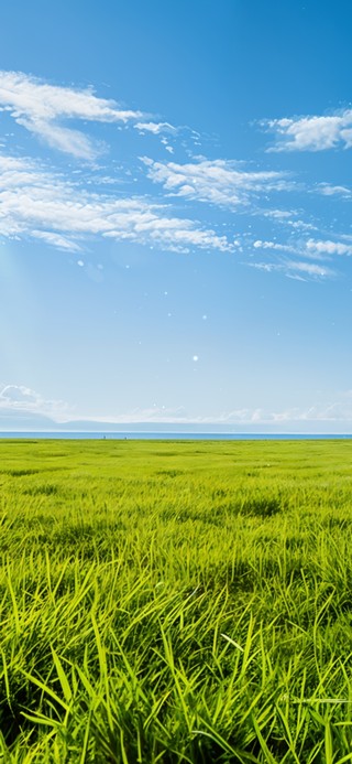 绿色清新护眼草地