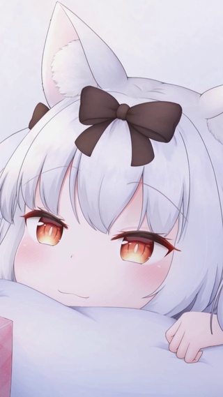 可爱小猫