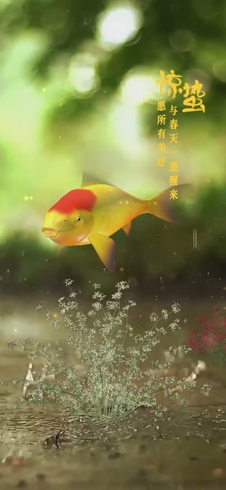 好运锦鲤 惊蛰 4K