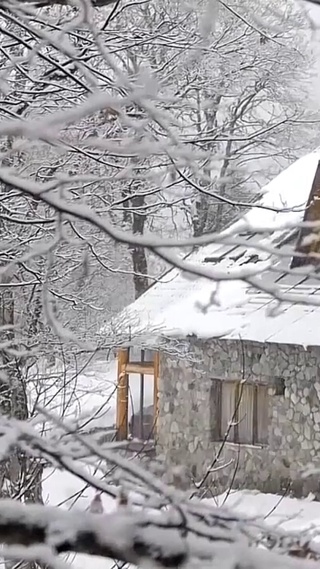 美丽雪景