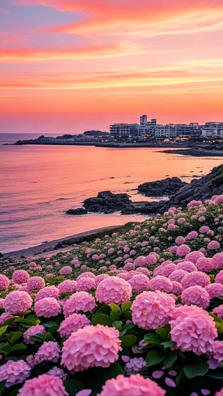 浪漫海边花海