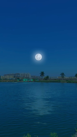 月光如水3
