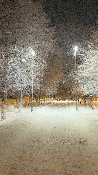 夜晚下雪壁纸