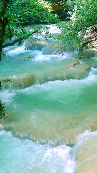 护眼林间溪流
