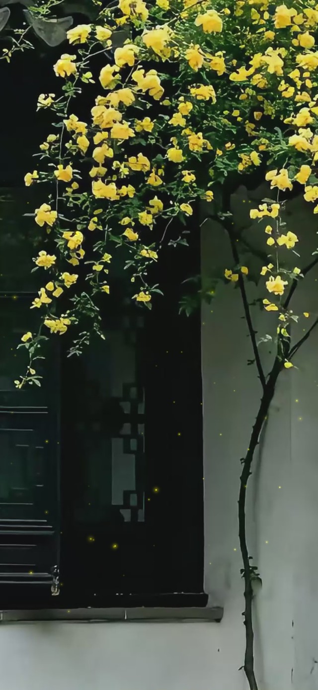 藤蔓花