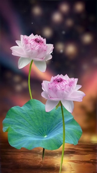 失去