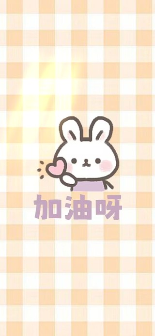 加油小兔兔