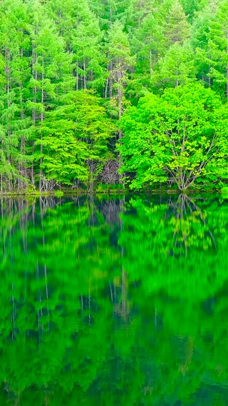 镜湖壁纸 镜湖手机壁纸 镜湖手机动态壁纸 元气壁纸