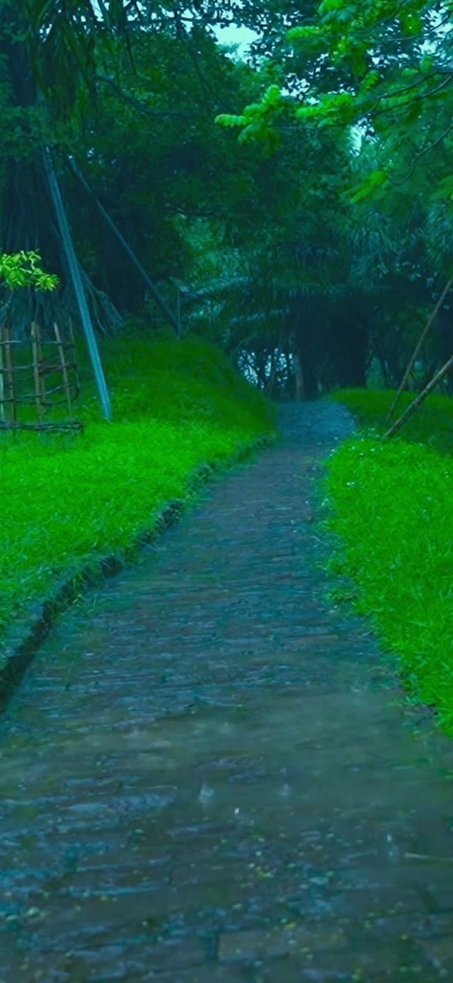 雨中小路