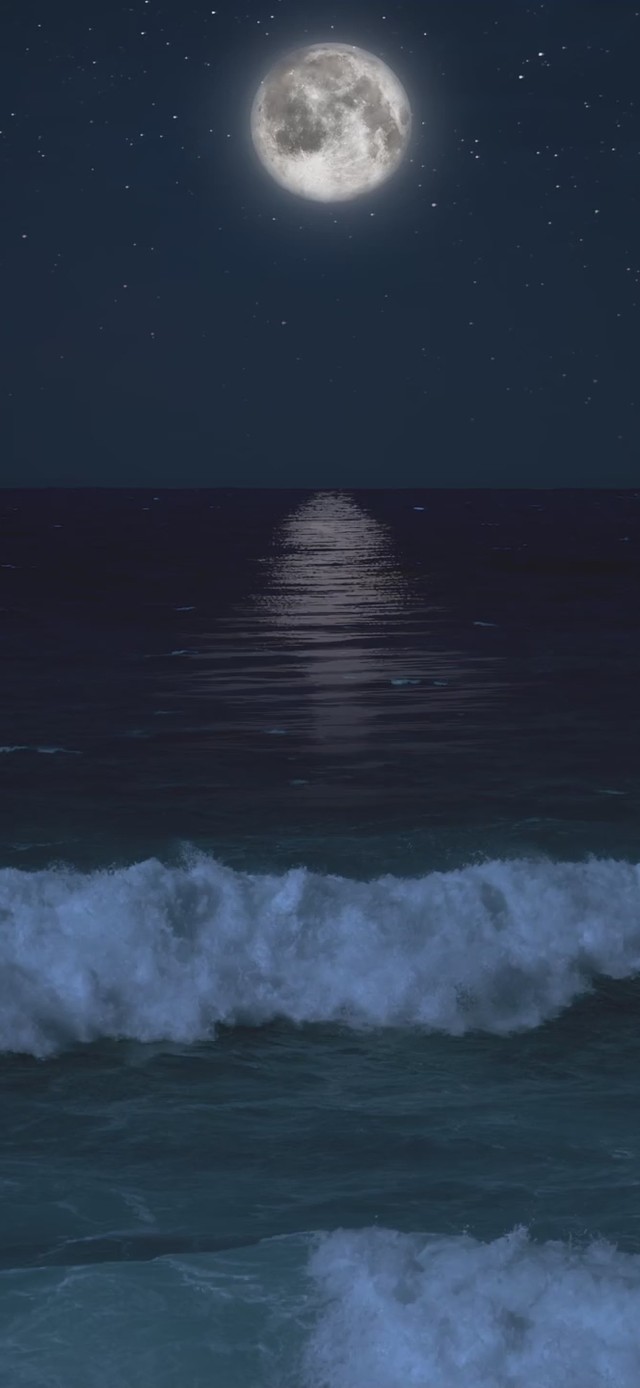 海月【 SEA MOON】