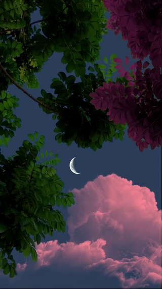 仰望夜空
