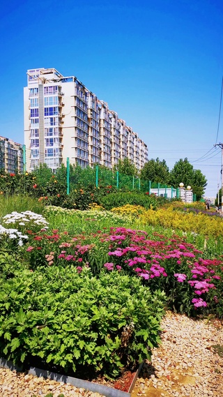 城市花园