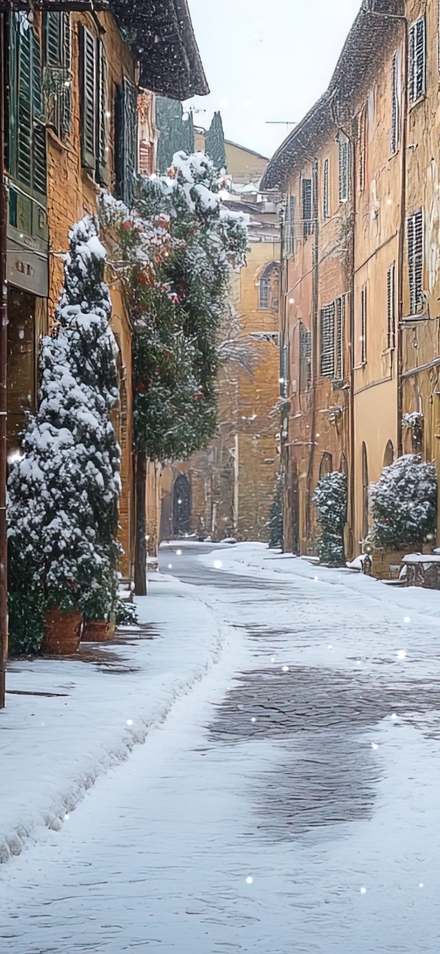 冬日无人街道漫游