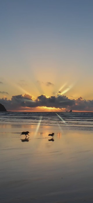 Sunset Beach 