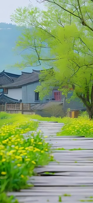 4k绿色乡间小路