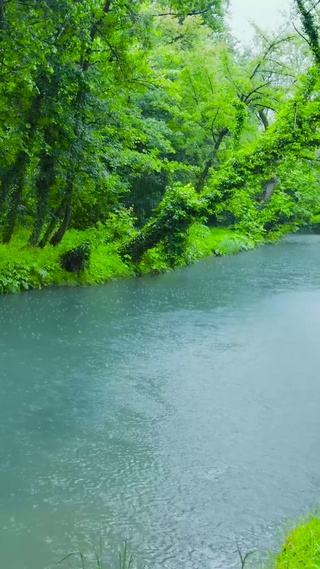 雨天绿林河流