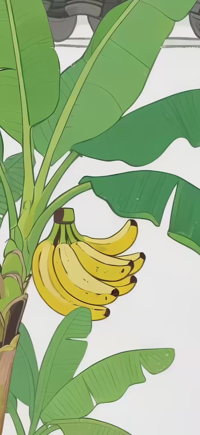 国风禁止蕉绿打工人