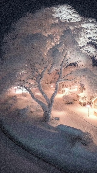 今年冬天一起看雪吧
