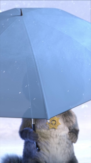 斑布猫-雪与鱼