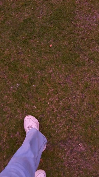 天空上可爱的猫咪