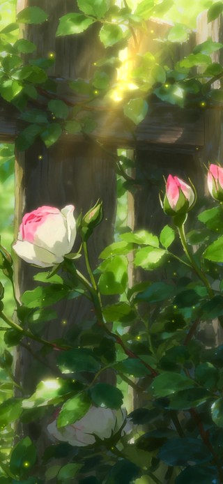 梦幻花园
