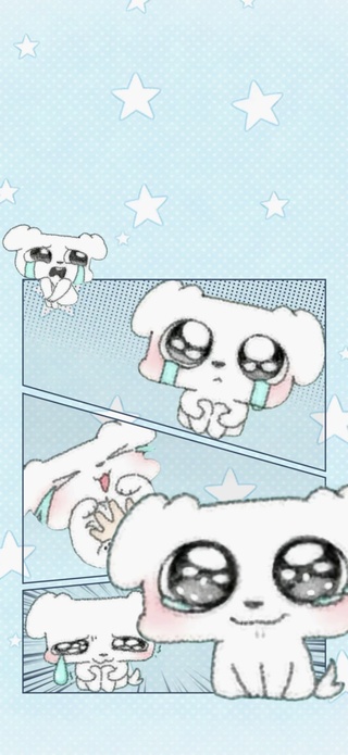 这狗6