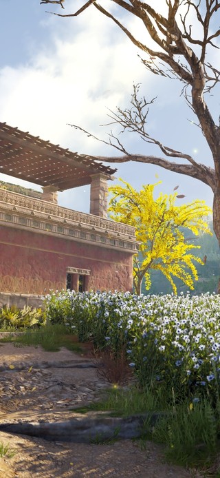 温馨午后阳光小院