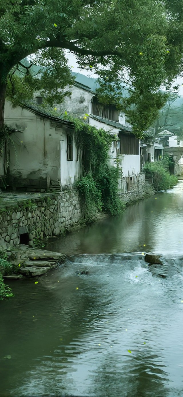 乡村溪流的早晨