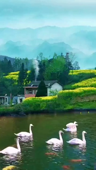 乡村