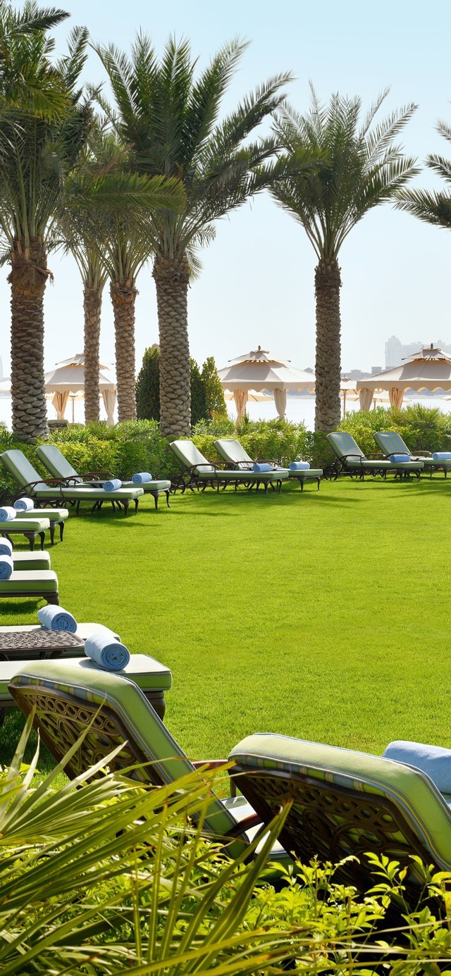 草坪 休息区 绿色护眼