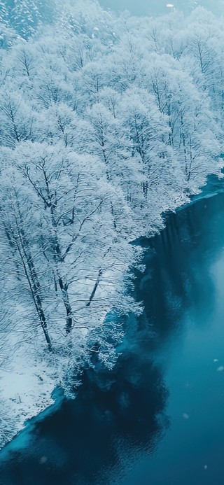 冰冻松林湖畔