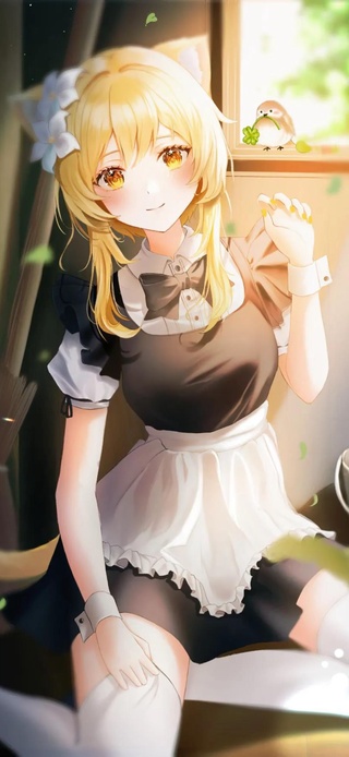 4K小猫娘