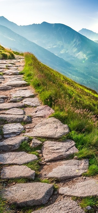 唯美治愈青山小路