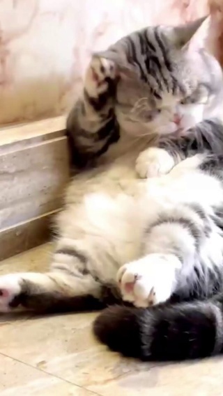 洗个脸都这样迷人_1_1