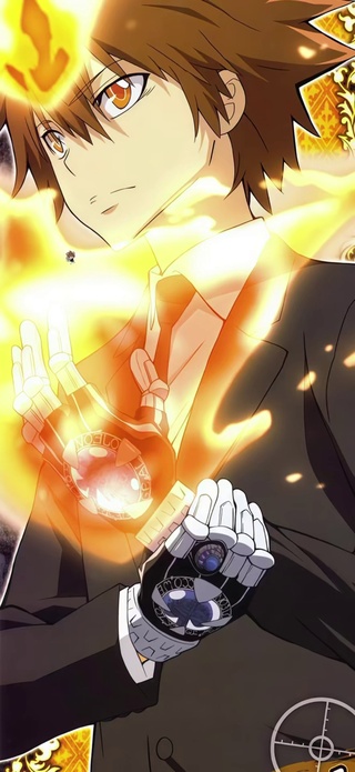 家庭教师 泽田纲吉 动态壁纸
