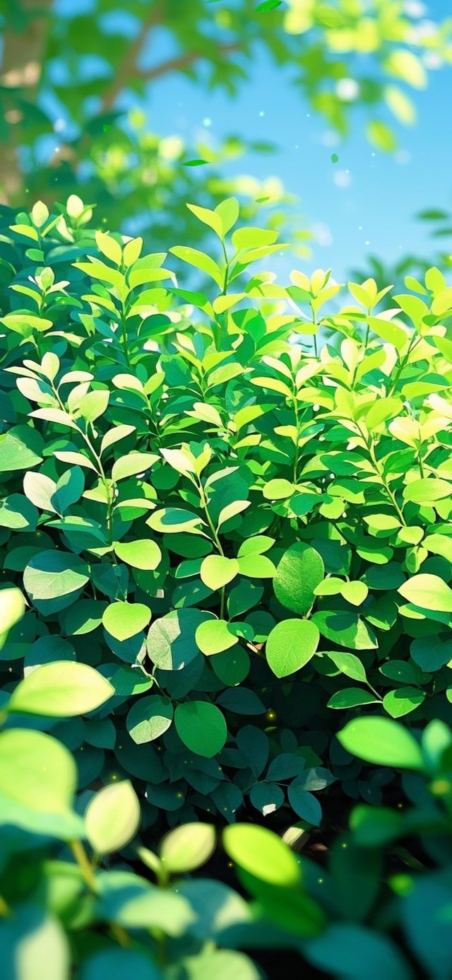 阳光下的绿意萌动