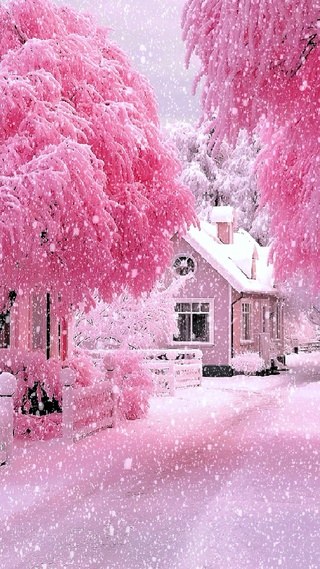 唯美雪景