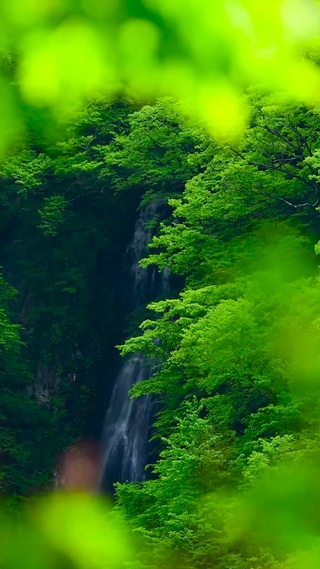 清新护眼山间瀑布