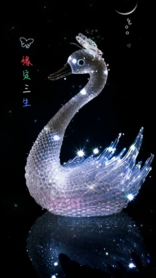 天鹅之梦④