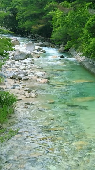 护眼绿林河流