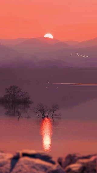 4K超清一行白鹭