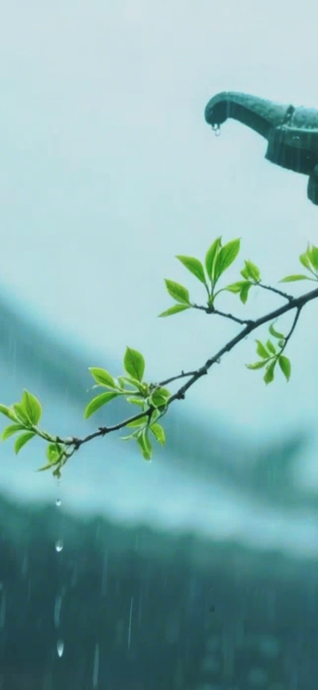 雨天静心
