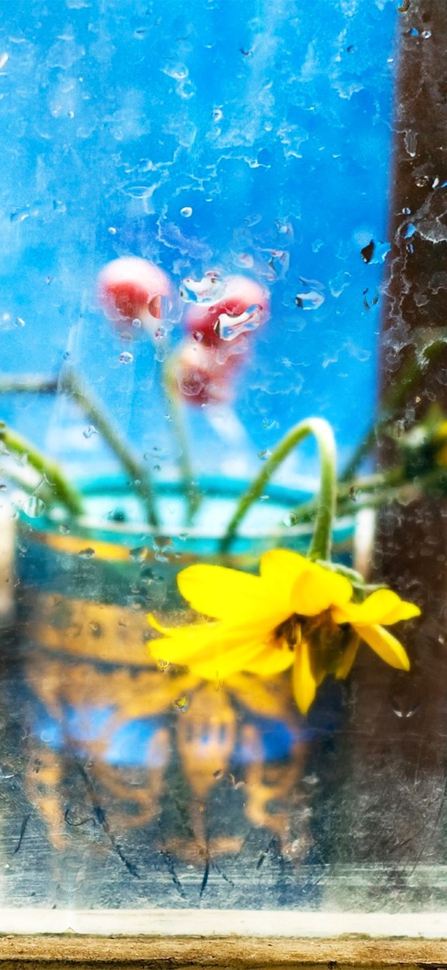 6K治愈窗户雨滴滑落