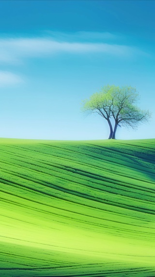 4K简约治愈护眼风景