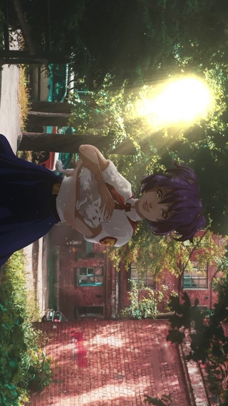 猫与女孩