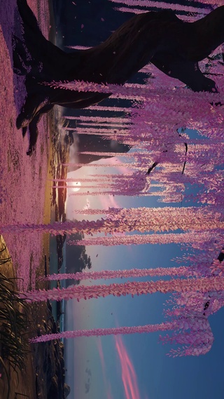 粉色紫藤树
