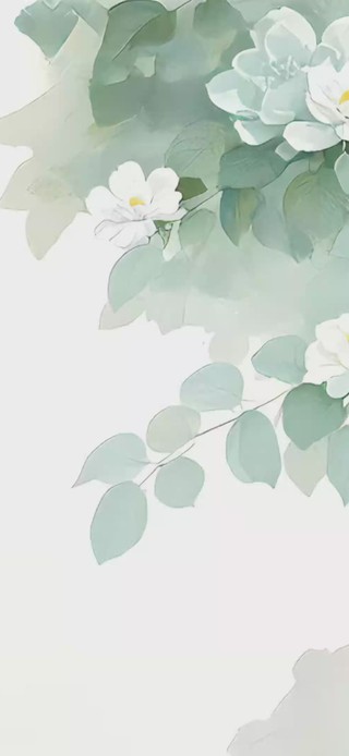 清新水彩白山茶花