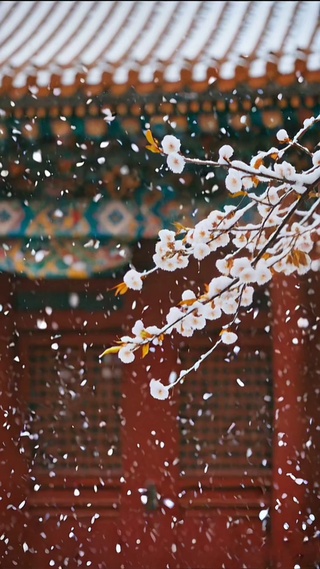 唯美雪景