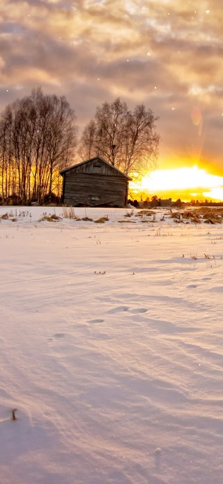 4K 唯美冬天雪地小屋